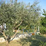 Barbat 16992b Barbat na Rabu