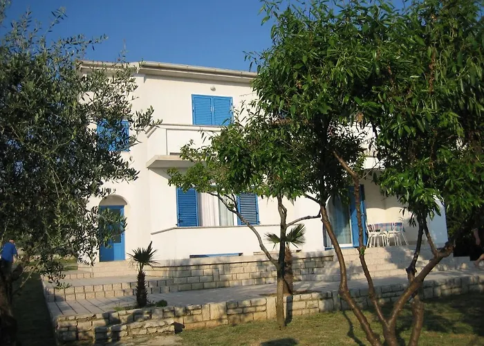 Barbat 16992b * Barbat na Rabu