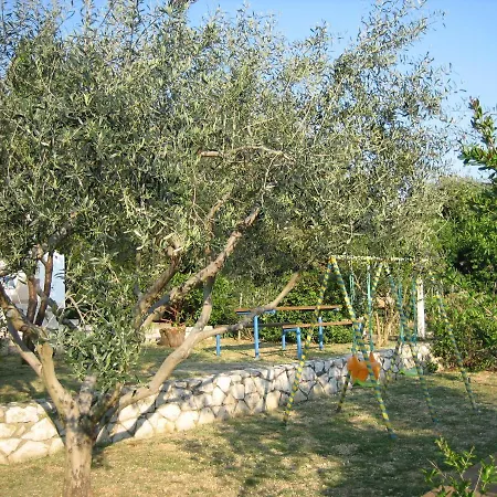 Barbat 16992b Barbat na Rabu