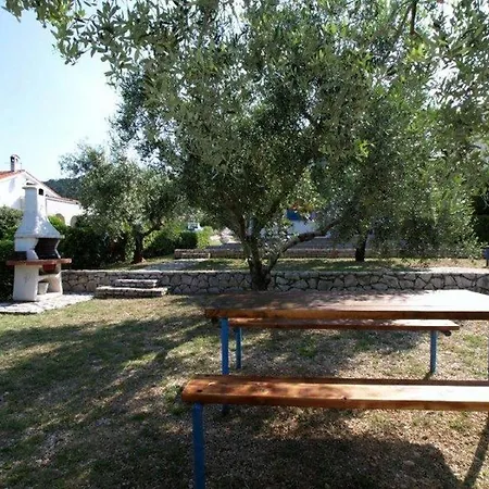 Barbat 16992b * Barbat na Rabu